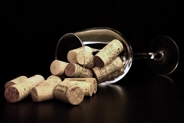 Bordeaux for begyndere: En startguide til regionens rigdom
